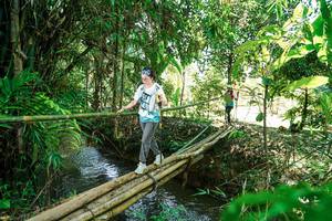 BIB: 
                            <button type="button" onclick="openModal(26291659)" class="btn btn-primary btn-sm float-right btn-popup" data-toggle="modal" data-target=".modal-high-quality">
                        <i class="fas fa-shopping-cart"></i> Add to Cart
                    </button>
                                            <button type="button" onclick="isThisMe(26291659, true)" class="btn btn-success btn-sm float-right btn-popup btn-isme hidden" data-toggle="tooltip" data-placement="bottom" title="นี่คือรูปของคุณใช่ไหม คลิกที่นี่เพื่อเอาเข้าอัลบั้ม">
                        <i class="fas fa-plus"></i> Add to album
                    </button>
                    <button type="button" onclick="isThisMe(26291659, false)" class="btn btn-warning btn-sm float-right btn-popup btn-isnotme hidden">
                        <i class="fas fa-ban"></i> Remove from album
                    </button>