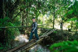 BIB: 
                            <button type="button" onclick="openModal(26289541)" class="btn btn-primary btn-sm float-right btn-popup" data-toggle="modal" data-target=".modal-high-quality">
                        <i class="fas fa-shopping-cart"></i> Add to Cart
                    </button>
                                            <button type="button" onclick="isThisMe(26289541, true)" class="btn btn-success btn-sm float-right btn-popup btn-isme hidden" data-toggle="tooltip" data-placement="bottom" title="นี่คือรูปของคุณใช่ไหม คลิกที่นี่เพื่อเอาเข้าอัลบั้ม">
                        <i class="fas fa-plus"></i> Add to album
                    </button>
                    <button type="button" onclick="isThisMe(26289541, false)" class="btn btn-warning btn-sm float-right btn-popup btn-isnotme hidden">
                        <i class="fas fa-ban"></i> Remove from album
                    </button>