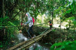 BIB: 
                            <button type="button" onclick="openModal(26290640)" class="btn btn-primary btn-sm float-right btn-popup" data-toggle="modal" data-target=".modal-high-quality">
                        <i class="fas fa-shopping-cart"></i> Add to Cart
                    </button>
                                            <button type="button" onclick="isThisMe(26290640, true)" class="btn btn-success btn-sm float-right btn-popup btn-isme hidden" data-toggle="tooltip" data-placement="bottom" title="นี่คือรูปของคุณใช่ไหม คลิกที่นี่เพื่อเอาเข้าอัลบั้ม">
                        <i class="fas fa-plus"></i> Add to album
                    </button>
                    <button type="button" onclick="isThisMe(26290640, false)" class="btn btn-warning btn-sm float-right btn-popup btn-isnotme hidden">
                        <i class="fas fa-ban"></i> Remove from album
                    </button>