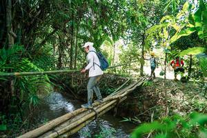 BIB: 
                            <button type="button" onclick="openModal(26291734)" class="btn btn-primary btn-sm float-right btn-popup" data-toggle="modal" data-target=".modal-high-quality">
                        <i class="fas fa-shopping-cart"></i> Add to Cart
                    </button>
                                            <button type="button" onclick="isThisMe(26291734, true)" class="btn btn-success btn-sm float-right btn-popup btn-isme hidden" data-toggle="tooltip" data-placement="bottom" title="นี่คือรูปของคุณใช่ไหม คลิกที่นี่เพื่อเอาเข้าอัลบั้ม">
                        <i class="fas fa-plus"></i> Add to album
                    </button>
                    <button type="button" onclick="isThisMe(26291734, false)" class="btn btn-warning btn-sm float-right btn-popup btn-isnotme hidden">
                        <i class="fas fa-ban"></i> Remove from album
                    </button>