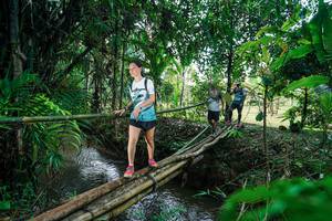 BIB: 
                            <button type="button" onclick="openModal(26290514)" class="btn btn-primary btn-sm float-right btn-popup" data-toggle="modal" data-target=".modal-high-quality">
                        <i class="fas fa-shopping-cart"></i> Add to Cart
                    </button>
                                            <button type="button" onclick="isThisMe(26290514, true)" class="btn btn-success btn-sm float-right btn-popup btn-isme hidden" data-toggle="tooltip" data-placement="bottom" title="นี่คือรูปของคุณใช่ไหม คลิกที่นี่เพื่อเอาเข้าอัลบั้ม">
                        <i class="fas fa-plus"></i> Add to album
                    </button>
                    <button type="button" onclick="isThisMe(26290514, false)" class="btn btn-warning btn-sm float-right btn-popup btn-isnotme hidden">
                        <i class="fas fa-ban"></i> Remove from album
                    </button>