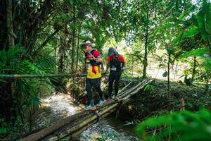 BIB: 
                            <button type="button" onclick="openModal(26289620)" class="btn btn-primary btn-sm float-right btn-popup" data-toggle="modal" data-target=".modal-high-quality">
                        <i class="fas fa-shopping-cart"></i> Add to Cart
                    </button>
                                            <button type="button" onclick="isThisMe(26289620, true)" class="btn btn-success btn-sm float-right btn-popup btn-isme hidden" data-toggle="tooltip" data-placement="bottom" title="นี่คือรูปของคุณใช่ไหม คลิกที่นี่เพื่อเอาเข้าอัลบั้ม">
                        <i class="fas fa-plus"></i> Add to album
                    </button>
                    <button type="button" onclick="isThisMe(26289620, false)" class="btn btn-warning btn-sm float-right btn-popup btn-isnotme hidden">
                        <i class="fas fa-ban"></i> Remove from album
                    </button>