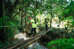 BIB: 
                            <button type="button" onclick="openModal(26289507)" class="btn btn-primary btn-sm float-right btn-popup" data-toggle="modal" data-target=".modal-high-quality">
                        <i class="fas fa-shopping-cart"></i> Add to Cart
                    </button>
                                            <button type="button" onclick="isThisMe(26289507, true)" class="btn btn-success btn-sm float-right btn-popup btn-isme hidden" data-toggle="tooltip" data-placement="bottom" title="นี่คือรูปของคุณใช่ไหม คลิกที่นี่เพื่อเอาเข้าอัลบั้ม">
                        <i class="fas fa-plus"></i> Add to album
                    </button>
                    <button type="button" onclick="isThisMe(26289507, false)" class="btn btn-warning btn-sm float-right btn-popup btn-isnotme hidden">
                        <i class="fas fa-ban"></i> Remove from album
                    </button>