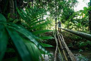 BIB: 
                            <button type="button" onclick="openModal(26288421)" class="btn btn-primary btn-sm float-right btn-popup" data-toggle="modal" data-target=".modal-high-quality">
                        <i class="fas fa-shopping-cart"></i> Add to Cart
                    </button>
                                            <button type="button" onclick="isThisMe(26288421, true)" class="btn btn-success btn-sm float-right btn-popup btn-isme hidden" data-toggle="tooltip" data-placement="bottom" title="นี่คือรูปของคุณใช่ไหม คลิกที่นี่เพื่อเอาเข้าอัลบั้ม">
                        <i class="fas fa-plus"></i> Add to album
                    </button>
                    <button type="button" onclick="isThisMe(26288421, false)" class="btn btn-warning btn-sm float-right btn-popup btn-isnotme hidden">
                        <i class="fas fa-ban"></i> Remove from album
                    </button>