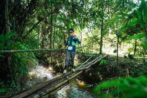 BIB: 
                            <button type="button" onclick="openModal(26289342)" class="btn btn-primary btn-sm float-right btn-popup" data-toggle="modal" data-target=".modal-high-quality">
                        <i class="fas fa-shopping-cart"></i> Add to Cart
                    </button>
                                            <button type="button" onclick="isThisMe(26289342, true)" class="btn btn-success btn-sm float-right btn-popup btn-isme hidden" data-toggle="tooltip" data-placement="bottom" title="นี่คือรูปของคุณใช่ไหม คลิกที่นี่เพื่อเอาเข้าอัลบั้ม">
                        <i class="fas fa-plus"></i> Add to album
                    </button>
                    <button type="button" onclick="isThisMe(26289342, false)" class="btn btn-warning btn-sm float-right btn-popup btn-isnotme hidden">
                        <i class="fas fa-ban"></i> Remove from album
                    </button>