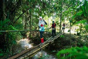 BIB: 
                            <button type="button" onclick="openModal(26289809)" class="btn btn-primary btn-sm float-right btn-popup" data-toggle="modal" data-target=".modal-high-quality">
                        <i class="fas fa-shopping-cart"></i> Add to Cart
                    </button>
                                            <button type="button" onclick="isThisMe(26289809, true)" class="btn btn-success btn-sm float-right btn-popup btn-isme hidden" data-toggle="tooltip" data-placement="bottom" title="นี่คือรูปของคุณใช่ไหม คลิกที่นี่เพื่อเอาเข้าอัลบั้ม">
                        <i class="fas fa-plus"></i> Add to album
                    </button>
                    <button type="button" onclick="isThisMe(26289809, false)" class="btn btn-warning btn-sm float-right btn-popup btn-isnotme hidden">
                        <i class="fas fa-ban"></i> Remove from album
                    </button>