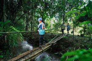 BIB: 
                            <button type="button" onclick="openModal(26290540)" class="btn btn-primary btn-sm float-right btn-popup" data-toggle="modal" data-target=".modal-high-quality">
                        <i class="fas fa-shopping-cart"></i> Add to Cart
                    </button>
                                            <button type="button" onclick="isThisMe(26290540, true)" class="btn btn-success btn-sm float-right btn-popup btn-isme hidden" data-toggle="tooltip" data-placement="bottom" title="นี่คือรูปของคุณใช่ไหม คลิกที่นี่เพื่อเอาเข้าอัลบั้ม">
                        <i class="fas fa-plus"></i> Add to album
                    </button>
                    <button type="button" onclick="isThisMe(26290540, false)" class="btn btn-warning btn-sm float-right btn-popup btn-isnotme hidden">
                        <i class="fas fa-ban"></i> Remove from album
                    </button>