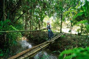 BIB: 
                            <button type="button" onclick="openModal(26290450)" class="btn btn-primary btn-sm float-right btn-popup" data-toggle="modal" data-target=".modal-high-quality">
                        <i class="fas fa-shopping-cart"></i> Add to Cart
                    </button>
                                            <button type="button" onclick="isThisMe(26290450, true)" class="btn btn-success btn-sm float-right btn-popup btn-isme hidden" data-toggle="tooltip" data-placement="bottom" title="นี่คือรูปของคุณใช่ไหม คลิกที่นี่เพื่อเอาเข้าอัลบั้ม">
                        <i class="fas fa-plus"></i> Add to album
                    </button>
                    <button type="button" onclick="isThisMe(26290450, false)" class="btn btn-warning btn-sm float-right btn-popup btn-isnotme hidden">
                        <i class="fas fa-ban"></i> Remove from album
                    </button>