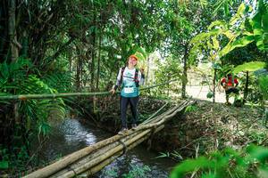 BIB: 
                            <button type="button" onclick="openModal(26291737)" class="btn btn-primary btn-sm float-right btn-popup" data-toggle="modal" data-target=".modal-high-quality">
                        <i class="fas fa-shopping-cart"></i> Add to Cart
                    </button>
                                            <button type="button" onclick="isThisMe(26291737, true)" class="btn btn-success btn-sm float-right btn-popup btn-isme hidden" data-toggle="tooltip" data-placement="bottom" title="นี่คือรูปของคุณใช่ไหม คลิกที่นี่เพื่อเอาเข้าอัลบั้ม">
                        <i class="fas fa-plus"></i> Add to album
                    </button>
                    <button type="button" onclick="isThisMe(26291737, false)" class="btn btn-warning btn-sm float-right btn-popup btn-isnotme hidden">
                        <i class="fas fa-ban"></i> Remove from album
                    </button>