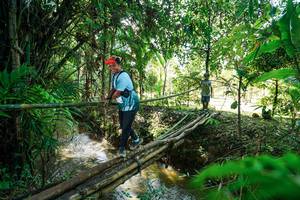 BIB: 
                            <button type="button" onclick="openModal(26289309)" class="btn btn-primary btn-sm float-right btn-popup" data-toggle="modal" data-target=".modal-high-quality">
                        <i class="fas fa-shopping-cart"></i> Add to Cart
                    </button>
                                            <button type="button" onclick="isThisMe(26289309, true)" class="btn btn-success btn-sm float-right btn-popup btn-isme hidden" data-toggle="tooltip" data-placement="bottom" title="นี่คือรูปของคุณใช่ไหม คลิกที่นี่เพื่อเอาเข้าอัลบั้ม">
                        <i class="fas fa-plus"></i> Add to album
                    </button>
                    <button type="button" onclick="isThisMe(26289309, false)" class="btn btn-warning btn-sm float-right btn-popup btn-isnotme hidden">
                        <i class="fas fa-ban"></i> Remove from album
                    </button>