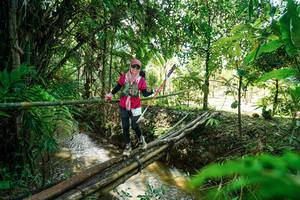 BIB: 
                            <button type="button" onclick="openModal(26289188)" class="btn btn-primary btn-sm float-right btn-popup" data-toggle="modal" data-target=".modal-high-quality">
                        <i class="fas fa-shopping-cart"></i> Add to Cart
                    </button>
                                            <button type="button" onclick="isThisMe(26289188, true)" class="btn btn-success btn-sm float-right btn-popup btn-isme hidden" data-toggle="tooltip" data-placement="bottom" title="นี่คือรูปของคุณใช่ไหม คลิกที่นี่เพื่อเอาเข้าอัลบั้ม">
                        <i class="fas fa-plus"></i> Add to album
                    </button>
                    <button type="button" onclick="isThisMe(26289188, false)" class="btn btn-warning btn-sm float-right btn-popup btn-isnotme hidden">
                        <i class="fas fa-ban"></i> Remove from album
                    </button>