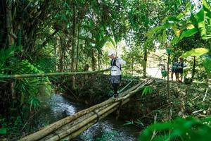 BIB: 
                            <button type="button" onclick="openModal(26290923)" class="btn btn-primary btn-sm float-right btn-popup" data-toggle="modal" data-target=".modal-high-quality">
                        <i class="fas fa-shopping-cart"></i> Add to Cart
                    </button>
                                            <button type="button" onclick="isThisMe(26290923, true)" class="btn btn-success btn-sm float-right btn-popup btn-isme hidden" data-toggle="tooltip" data-placement="bottom" title="นี่คือรูปของคุณใช่ไหม คลิกที่นี่เพื่อเอาเข้าอัลบั้ม">
                        <i class="fas fa-plus"></i> Add to album
                    </button>
                    <button type="button" onclick="isThisMe(26290923, false)" class="btn btn-warning btn-sm float-right btn-popup btn-isnotme hidden">
                        <i class="fas fa-ban"></i> Remove from album
                    </button>