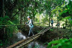 BIB: 
                            <button type="button" onclick="openModal(26290464)" class="btn btn-primary btn-sm float-right btn-popup" data-toggle="modal" data-target=".modal-high-quality">
                        <i class="fas fa-shopping-cart"></i> Add to Cart
                    </button>
                                            <button type="button" onclick="isThisMe(26290464, true)" class="btn btn-success btn-sm float-right btn-popup btn-isme hidden" data-toggle="tooltip" data-placement="bottom" title="นี่คือรูปของคุณใช่ไหม คลิกที่นี่เพื่อเอาเข้าอัลบั้ม">
                        <i class="fas fa-plus"></i> Add to album
                    </button>
                    <button type="button" onclick="isThisMe(26290464, false)" class="btn btn-warning btn-sm float-right btn-popup btn-isnotme hidden">
                        <i class="fas fa-ban"></i> Remove from album
                    </button>