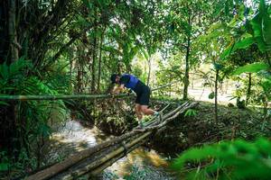 BIB: 
                            <button type="button" onclick="openModal(26289284)" class="btn btn-primary btn-sm float-right btn-popup" data-toggle="modal" data-target=".modal-high-quality">
                        <i class="fas fa-shopping-cart"></i> Add to Cart
                    </button>
                                            <button type="button" onclick="isThisMe(26289284, true)" class="btn btn-success btn-sm float-right btn-popup btn-isme hidden" data-toggle="tooltip" data-placement="bottom" title="นี่คือรูปของคุณใช่ไหม คลิกที่นี่เพื่อเอาเข้าอัลบั้ม">
                        <i class="fas fa-plus"></i> Add to album
                    </button>
                    <button type="button" onclick="isThisMe(26289284, false)" class="btn btn-warning btn-sm float-right btn-popup btn-isnotme hidden">
                        <i class="fas fa-ban"></i> Remove from album
                    </button>