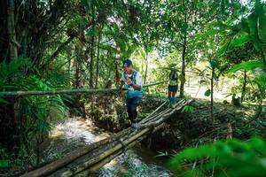 BIB: 
                            <button type="button" onclick="openModal(26289524)" class="btn btn-primary btn-sm float-right btn-popup" data-toggle="modal" data-target=".modal-high-quality">
                        <i class="fas fa-shopping-cart"></i> Add to Cart
                    </button>
                                            <button type="button" onclick="isThisMe(26289524, true)" class="btn btn-success btn-sm float-right btn-popup btn-isme hidden" data-toggle="tooltip" data-placement="bottom" title="นี่คือรูปของคุณใช่ไหม คลิกที่นี่เพื่อเอาเข้าอัลบั้ม">
                        <i class="fas fa-plus"></i> Add to album
                    </button>
                    <button type="button" onclick="isThisMe(26289524, false)" class="btn btn-warning btn-sm float-right btn-popup btn-isnotme hidden">
                        <i class="fas fa-ban"></i> Remove from album
                    </button>