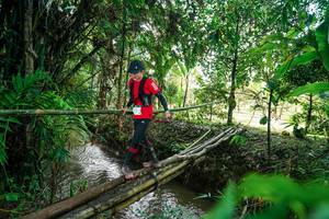 BIB: 
                            <button type="button" onclick="openModal(26288788)" class="btn btn-primary btn-sm float-right btn-popup" data-toggle="modal" data-target=".modal-high-quality">
                        <i class="fas fa-shopping-cart"></i> Add to Cart
                    </button>
                                            <button type="button" onclick="isThisMe(26288788, true)" class="btn btn-success btn-sm float-right btn-popup btn-isme hidden" data-toggle="tooltip" data-placement="bottom" title="นี่คือรูปของคุณใช่ไหม คลิกที่นี่เพื่อเอาเข้าอัลบั้ม">
                        <i class="fas fa-plus"></i> Add to album
                    </button>
                    <button type="button" onclick="isThisMe(26288788, false)" class="btn btn-warning btn-sm float-right btn-popup btn-isnotme hidden">
                        <i class="fas fa-ban"></i> Remove from album
                    </button>