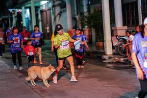 BIB: 
                            <button type="button" onclick="openModal(26464182)" class="btn btn-primary btn-sm float-right btn-popup" data-toggle="modal" data-target=".modal-high-quality">
                        <i class="fas fa-shopping-cart"></i> Add to Cart
                    </button>
                                            <button type="button" onclick="isThisMe(26464182, true)" class="btn btn-success btn-sm float-right btn-popup btn-isme hidden" data-toggle="tooltip" data-placement="bottom" title="นี่คือรูปของคุณใช่ไหม คลิกที่นี่เพื่อเอาเข้าอัลบั้ม">
                        <i class="fas fa-plus"></i> Add to album
                    </button>
                    <button type="button" onclick="isThisMe(26464182, false)" class="btn btn-warning btn-sm float-right btn-popup btn-isnotme hidden">
                        <i class="fas fa-ban"></i> Remove from album
                    </button>