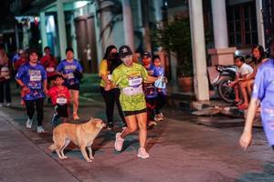 BIB: 
                            <button type="button" onclick="openModal(26464183)" class="btn btn-primary btn-sm float-right btn-popup" data-toggle="modal" data-target=".modal-high-quality">
                        <i class="fas fa-shopping-cart"></i> Add to Cart
                    </button>
                                            <button type="button" onclick="isThisMe(26464183, true)" class="btn btn-success btn-sm float-right btn-popup btn-isme hidden" data-toggle="tooltip" data-placement="bottom" title="นี่คือรูปของคุณใช่ไหม คลิกที่นี่เพื่อเอาเข้าอัลบั้ม">
                        <i class="fas fa-plus"></i> Add to album
                    </button>
                    <button type="button" onclick="isThisMe(26464183, false)" class="btn btn-warning btn-sm float-right btn-popup btn-isnotme hidden">
                        <i class="fas fa-ban"></i> Remove from album
                    </button>