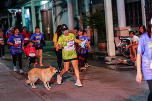 BIB: 
                            <button type="button" onclick="openModal(26464184)" class="btn btn-primary btn-sm float-right btn-popup" data-toggle="modal" data-target=".modal-high-quality">
                        <i class="fas fa-shopping-cart"></i> Add to Cart
                    </button>
                                            <button type="button" onclick="isThisMe(26464184, true)" class="btn btn-success btn-sm float-right btn-popup btn-isme hidden" data-toggle="tooltip" data-placement="bottom" title="นี่คือรูปของคุณใช่ไหม คลิกที่นี่เพื่อเอาเข้าอัลบั้ม">
                        <i class="fas fa-plus"></i> Add to album
                    </button>
                    <button type="button" onclick="isThisMe(26464184, false)" class="btn btn-warning btn-sm float-right btn-popup btn-isnotme hidden">
                        <i class="fas fa-ban"></i> Remove from album
                    </button>