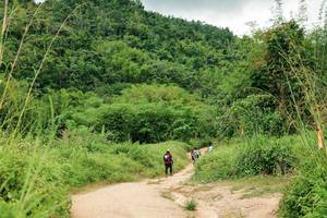 BIB: 
                            <button type="button" onclick="openModal(26455346)" class="btn btn-primary btn-sm float-right btn-popup" data-toggle="modal" data-target=".modal-high-quality">
                        <i class="fas fa-shopping-cart"></i> Add to Cart
                    </button>
                                            <button type="button" onclick="isThisMe(26455346, true)" class="btn btn-success btn-sm float-right btn-popup btn-isme hidden" data-toggle="tooltip" data-placement="bottom" title="นี่คือรูปของคุณใช่ไหม คลิกที่นี่เพื่อเอาเข้าอัลบั้ม">
                        <i class="fas fa-plus"></i> Add to album
                    </button>
                    <button type="button" onclick="isThisMe(26455346, false)" class="btn btn-warning btn-sm float-right btn-popup btn-isnotme hidden">
                        <i class="fas fa-ban"></i> Remove from album
                    </button>