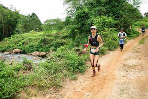 BIB: 
                            <button type="button" onclick="openModal(26456342)" class="btn btn-primary btn-sm float-right btn-popup" data-toggle="modal" data-target=".modal-high-quality">
                        <i class="fas fa-shopping-cart"></i> Add to Cart
                    </button>
                                            <button type="button" onclick="isThisMe(26456342, true)" class="btn btn-success btn-sm float-right btn-popup btn-isme hidden" data-toggle="tooltip" data-placement="bottom" title="นี่คือรูปของคุณใช่ไหม คลิกที่นี่เพื่อเอาเข้าอัลบั้ม">
                        <i class="fas fa-plus"></i> Add to album
                    </button>
                    <button type="button" onclick="isThisMe(26456342, false)" class="btn btn-warning btn-sm float-right btn-popup btn-isnotme hidden">
                        <i class="fas fa-ban"></i> Remove from album
                    </button>