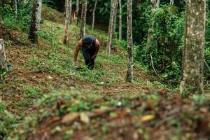 BIB: 
                            <button type="button" onclick="openModal(26445888)" class="btn btn-primary btn-sm float-right btn-popup" data-toggle="modal" data-target=".modal-high-quality">
                        <i class="fas fa-shopping-cart"></i> Add to Cart
                    </button>
                                            <button type="button" onclick="isThisMe(26445888, true)" class="btn btn-success btn-sm float-right btn-popup btn-isme hidden" data-toggle="tooltip" data-placement="bottom" title="นี่คือรูปของคุณใช่ไหม คลิกที่นี่เพื่อเอาเข้าอัลบั้ม">
                        <i class="fas fa-plus"></i> Add to album
                    </button>
                    <button type="button" onclick="isThisMe(26445888, false)" class="btn btn-warning btn-sm float-right btn-popup btn-isnotme hidden">
                        <i class="fas fa-ban"></i> Remove from album
                    </button>