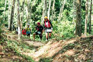 BIB: 
                            <button type="button" onclick="openModal(26451773)" class="btn btn-primary btn-sm float-right btn-popup" data-toggle="modal" data-target=".modal-high-quality">
                        <i class="fas fa-shopping-cart"></i> Add to Cart
                    </button>
                                            <button type="button" onclick="isThisMe(26451773, true)" class="btn btn-success btn-sm float-right btn-popup btn-isme hidden" data-toggle="tooltip" data-placement="bottom" title="นี่คือรูปของคุณใช่ไหม คลิกที่นี่เพื่อเอาเข้าอัลบั้ม">
                        <i class="fas fa-plus"></i> Add to album
                    </button>
                    <button type="button" onclick="isThisMe(26451773, false)" class="btn btn-warning btn-sm float-right btn-popup btn-isnotme hidden">
                        <i class="fas fa-ban"></i> Remove from album
                    </button>