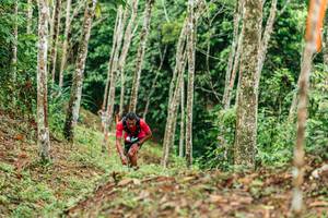 BIB: 
                            <button type="button" onclick="openModal(26445944)" class="btn btn-primary btn-sm float-right btn-popup" data-toggle="modal" data-target=".modal-high-quality">
                        <i class="fas fa-shopping-cart"></i> Add to Cart
                    </button>
                                            <button type="button" onclick="isThisMe(26445944, true)" class="btn btn-success btn-sm float-right btn-popup btn-isme hidden" data-toggle="tooltip" data-placement="bottom" title="นี่คือรูปของคุณใช่ไหม คลิกที่นี่เพื่อเอาเข้าอัลบั้ม">
                        <i class="fas fa-plus"></i> Add to album
                    </button>
                    <button type="button" onclick="isThisMe(26445944, false)" class="btn btn-warning btn-sm float-right btn-popup btn-isnotme hidden">
                        <i class="fas fa-ban"></i> Remove from album
                    </button>