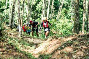 BIB: 
                            <button type="button" onclick="openModal(26451774)" class="btn btn-primary btn-sm float-right btn-popup" data-toggle="modal" data-target=".modal-high-quality">
                        <i class="fas fa-shopping-cart"></i> Add to Cart
                    </button>
                                            <button type="button" onclick="isThisMe(26451774, true)" class="btn btn-success btn-sm float-right btn-popup btn-isme hidden" data-toggle="tooltip" data-placement="bottom" title="นี่คือรูปของคุณใช่ไหม คลิกที่นี่เพื่อเอาเข้าอัลบั้ม">
                        <i class="fas fa-plus"></i> Add to album
                    </button>
                    <button type="button" onclick="isThisMe(26451774, false)" class="btn btn-warning btn-sm float-right btn-popup btn-isnotme hidden">
                        <i class="fas fa-ban"></i> Remove from album
                    </button>