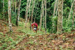 BIB: 
                            <button type="button" onclick="openModal(26446077)" class="btn btn-primary btn-sm float-right btn-popup" data-toggle="modal" data-target=".modal-high-quality">
                        <i class="fas fa-shopping-cart"></i> Add to Cart
                    </button>
                                            <button type="button" onclick="isThisMe(26446077, true)" class="btn btn-success btn-sm float-right btn-popup btn-isme hidden" data-toggle="tooltip" data-placement="bottom" title="นี่คือรูปของคุณใช่ไหม คลิกที่นี่เพื่อเอาเข้าอัลบั้ม">
                        <i class="fas fa-plus"></i> Add to album
                    </button>
                    <button type="button" onclick="isThisMe(26446077, false)" class="btn btn-warning btn-sm float-right btn-popup btn-isnotme hidden">
                        <i class="fas fa-ban"></i> Remove from album
                    </button>