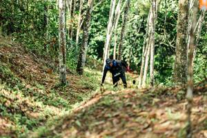 BIB: 
                            <button type="button" onclick="openModal(26448415)" class="btn btn-primary btn-sm float-right btn-popup" data-toggle="modal" data-target=".modal-high-quality">
                        <i class="fas fa-shopping-cart"></i> Add to Cart
                    </button>
                                            <button type="button" onclick="isThisMe(26448415, true)" class="btn btn-success btn-sm float-right btn-popup btn-isme hidden" data-toggle="tooltip" data-placement="bottom" title="นี่คือรูปของคุณใช่ไหม คลิกที่นี่เพื่อเอาเข้าอัลบั้ม">
                        <i class="fas fa-plus"></i> Add to album
                    </button>
                    <button type="button" onclick="isThisMe(26448415, false)" class="btn btn-warning btn-sm float-right btn-popup btn-isnotme hidden">
                        <i class="fas fa-ban"></i> Remove from album
                    </button>