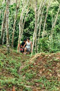 BIB: 
                            <button type="button" onclick="openModal(26447105)" class="btn btn-primary btn-sm float-right btn-popup" data-toggle="modal" data-target=".modal-high-quality">
                        <i class="fas fa-shopping-cart"></i> Add to Cart
                    </button>
                                            <button type="button" onclick="isThisMe(26447105, true)" class="btn btn-success btn-sm float-right btn-popup btn-isme hidden" data-toggle="tooltip" data-placement="bottom" title="นี่คือรูปของคุณใช่ไหม คลิกที่นี่เพื่อเอาเข้าอัลบั้ม">
                        <i class="fas fa-plus"></i> Add to album
                    </button>
                    <button type="button" onclick="isThisMe(26447105, false)" class="btn btn-warning btn-sm float-right btn-popup btn-isnotme hidden">
                        <i class="fas fa-ban"></i> Remove from album
                    </button>