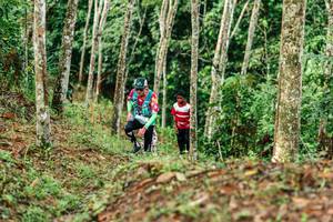 BIB: 
                            <button type="button" onclick="openModal(26446101)" class="btn btn-primary btn-sm float-right btn-popup" data-toggle="modal" data-target=".modal-high-quality">
                        <i class="fas fa-shopping-cart"></i> Add to Cart
                    </button>
                                            <button type="button" onclick="isThisMe(26446101, true)" class="btn btn-success btn-sm float-right btn-popup btn-isme hidden" data-toggle="tooltip" data-placement="bottom" title="นี่คือรูปของคุณใช่ไหม คลิกที่นี่เพื่อเอาเข้าอัลบั้ม">
                        <i class="fas fa-plus"></i> Add to album
                    </button>
                    <button type="button" onclick="isThisMe(26446101, false)" class="btn btn-warning btn-sm float-right btn-popup btn-isnotme hidden">
                        <i class="fas fa-ban"></i> Remove from album
                    </button>