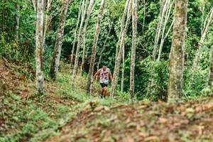 BIB: 
                            <button type="button" onclick="openModal(26446158)" class="btn btn-primary btn-sm float-right btn-popup" data-toggle="modal" data-target=".modal-high-quality">
                        <i class="fas fa-shopping-cart"></i> Add to Cart
                    </button>
                                            <button type="button" onclick="isThisMe(26446158, true)" class="btn btn-success btn-sm float-right btn-popup btn-isme hidden" data-toggle="tooltip" data-placement="bottom" title="นี่คือรูปของคุณใช่ไหม คลิกที่นี่เพื่อเอาเข้าอัลบั้ม">
                        <i class="fas fa-plus"></i> Add to album
                    </button>
                    <button type="button" onclick="isThisMe(26446158, false)" class="btn btn-warning btn-sm float-right btn-popup btn-isnotme hidden">
                        <i class="fas fa-ban"></i> Remove from album
                    </button>