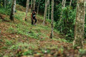 BIB: 
                            <button type="button" onclick="openModal(26445867)" class="btn btn-primary btn-sm float-right btn-popup" data-toggle="modal" data-target=".modal-high-quality">
                        <i class="fas fa-shopping-cart"></i> Add to Cart
                    </button>
                                            <button type="button" onclick="isThisMe(26445867, true)" class="btn btn-success btn-sm float-right btn-popup btn-isme hidden" data-toggle="tooltip" data-placement="bottom" title="นี่คือรูปของคุณใช่ไหม คลิกที่นี่เพื่อเอาเข้าอัลบั้ม">
                        <i class="fas fa-plus"></i> Add to album
                    </button>
                    <button type="button" onclick="isThisMe(26445867, false)" class="btn btn-warning btn-sm float-right btn-popup btn-isnotme hidden">
                        <i class="fas fa-ban"></i> Remove from album
                    </button>