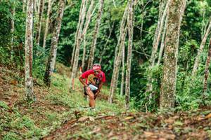 BIB: 
                            <button type="button" onclick="openModal(26446086)" class="btn btn-primary btn-sm float-right btn-popup" data-toggle="modal" data-target=".modal-high-quality">
                        <i class="fas fa-shopping-cart"></i> Add to Cart
                    </button>
                                            <button type="button" onclick="isThisMe(26446086, true)" class="btn btn-success btn-sm float-right btn-popup btn-isme hidden" data-toggle="tooltip" data-placement="bottom" title="นี่คือรูปของคุณใช่ไหม คลิกที่นี่เพื่อเอาเข้าอัลบั้ม">
                        <i class="fas fa-plus"></i> Add to album
                    </button>
                    <button type="button" onclick="isThisMe(26446086, false)" class="btn btn-warning btn-sm float-right btn-popup btn-isnotme hidden">
                        <i class="fas fa-ban"></i> Remove from album
                    </button>