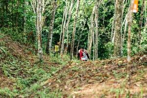 BIB: 
                            <button type="button" onclick="openModal(26446178)" class="btn btn-primary btn-sm float-right btn-popup" data-toggle="modal" data-target=".modal-high-quality">
                        <i class="fas fa-shopping-cart"></i> Add to Cart
                    </button>
                                            <button type="button" onclick="isThisMe(26446178, true)" class="btn btn-success btn-sm float-right btn-popup btn-isme hidden" data-toggle="tooltip" data-placement="bottom" title="นี่คือรูปของคุณใช่ไหม คลิกที่นี่เพื่อเอาเข้าอัลบั้ม">
                        <i class="fas fa-plus"></i> Add to album
                    </button>
                    <button type="button" onclick="isThisMe(26446178, false)" class="btn btn-warning btn-sm float-right btn-popup btn-isnotme hidden">
                        <i class="fas fa-ban"></i> Remove from album
                    </button>