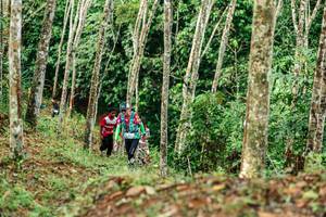 BIB: 
                            <button type="button" onclick="openModal(26446103)" class="btn btn-primary btn-sm float-right btn-popup" data-toggle="modal" data-target=".modal-high-quality">
                        <i class="fas fa-shopping-cart"></i> Add to Cart
                    </button>
                                            <button type="button" onclick="isThisMe(26446103, true)" class="btn btn-success btn-sm float-right btn-popup btn-isme hidden" data-toggle="tooltip" data-placement="bottom" title="นี่คือรูปของคุณใช่ไหม คลิกที่นี่เพื่อเอาเข้าอัลบั้ม">
                        <i class="fas fa-plus"></i> Add to album
                    </button>
                    <button type="button" onclick="isThisMe(26446103, false)" class="btn btn-warning btn-sm float-right btn-popup btn-isnotme hidden">
                        <i class="fas fa-ban"></i> Remove from album
                    </button>