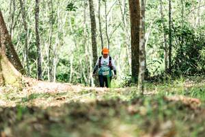 BIB: 
                            <button type="button" onclick="openModal(26454029)" class="btn btn-primary btn-sm float-right btn-popup" data-toggle="modal" data-target=".modal-high-quality">
                        <i class="fas fa-shopping-cart"></i> Add to Cart
                    </button>
                                            <button type="button" onclick="isThisMe(26454029, true)" class="btn btn-success btn-sm float-right btn-popup btn-isme hidden" data-toggle="tooltip" data-placement="bottom" title="นี่คือรูปของคุณใช่ไหม คลิกที่นี่เพื่อเอาเข้าอัลบั้ม">
                        <i class="fas fa-plus"></i> Add to album
                    </button>
                    <button type="button" onclick="isThisMe(26454029, false)" class="btn btn-warning btn-sm float-right btn-popup btn-isnotme hidden">
                        <i class="fas fa-ban"></i> Remove from album
                    </button>