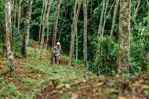 BIB: 
                            <button type="button" onclick="openModal(26445896)" class="btn btn-primary btn-sm float-right btn-popup" data-toggle="modal" data-target=".modal-high-quality">
                        <i class="fas fa-shopping-cart"></i> Add to Cart
                    </button>
                                            <button type="button" onclick="isThisMe(26445896, true)" class="btn btn-success btn-sm float-right btn-popup btn-isme hidden" data-toggle="tooltip" data-placement="bottom" title="นี่คือรูปของคุณใช่ไหม คลิกที่นี่เพื่อเอาเข้าอัลบั้ม">
                        <i class="fas fa-plus"></i> Add to album
                    </button>
                    <button type="button" onclick="isThisMe(26445896, false)" class="btn btn-warning btn-sm float-right btn-popup btn-isnotme hidden">
                        <i class="fas fa-ban"></i> Remove from album
                    </button>