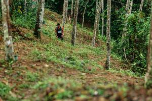 BIB: 
                            <button type="button" onclick="openModal(26445870)" class="btn btn-primary btn-sm float-right btn-popup" data-toggle="modal" data-target=".modal-high-quality">
                        <i class="fas fa-shopping-cart"></i> Add to Cart
                    </button>
                                            <button type="button" onclick="isThisMe(26445870, true)" class="btn btn-success btn-sm float-right btn-popup btn-isme hidden" data-toggle="tooltip" data-placement="bottom" title="นี่คือรูปของคุณใช่ไหม คลิกที่นี่เพื่อเอาเข้าอัลบั้ม">
                        <i class="fas fa-plus"></i> Add to album
                    </button>
                    <button type="button" onclick="isThisMe(26445870, false)" class="btn btn-warning btn-sm float-right btn-popup btn-isnotme hidden">
                        <i class="fas fa-ban"></i> Remove from album
                    </button>