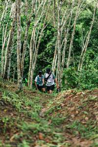 BIB: 
                            <button type="button" onclick="openModal(26447720)" class="btn btn-primary btn-sm float-right btn-popup" data-toggle="modal" data-target=".modal-high-quality">
                        <i class="fas fa-shopping-cart"></i> Add to Cart
                    </button>
                                            <button type="button" onclick="isThisMe(26447720, true)" class="btn btn-success btn-sm float-right btn-popup btn-isme hidden" data-toggle="tooltip" data-placement="bottom" title="นี่คือรูปของคุณใช่ไหม คลิกที่นี่เพื่อเอาเข้าอัลบั้ม">
                        <i class="fas fa-plus"></i> Add to album
                    </button>
                    <button type="button" onclick="isThisMe(26447720, false)" class="btn btn-warning btn-sm float-right btn-popup btn-isnotme hidden">
                        <i class="fas fa-ban"></i> Remove from album
                    </button>