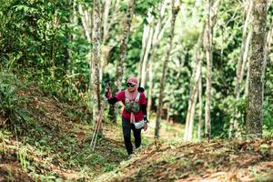 BIB: 
                            <button type="button" onclick="openModal(26449304)" class="btn btn-primary btn-sm float-right btn-popup" data-toggle="modal" data-target=".modal-high-quality">
                        <i class="fas fa-shopping-cart"></i> Add to Cart
                    </button>
                                            <button type="button" onclick="isThisMe(26449304, true)" class="btn btn-success btn-sm float-right btn-popup btn-isme hidden" data-toggle="tooltip" data-placement="bottom" title="นี่คือรูปของคุณใช่ไหม คลิกที่นี่เพื่อเอาเข้าอัลบั้ม">
                        <i class="fas fa-plus"></i> Add to album
                    </button>
                    <button type="button" onclick="isThisMe(26449304, false)" class="btn btn-warning btn-sm float-right btn-popup btn-isnotme hidden">
                        <i class="fas fa-ban"></i> Remove from album
                    </button>