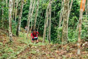 BIB: 
                            <button type="button" onclick="openModal(26445939)" class="btn btn-primary btn-sm float-right btn-popup" data-toggle="modal" data-target=".modal-high-quality">
                        <i class="fas fa-shopping-cart"></i> Add to Cart
                    </button>
                                            <button type="button" onclick="isThisMe(26445939, true)" class="btn btn-success btn-sm float-right btn-popup btn-isme hidden" data-toggle="tooltip" data-placement="bottom" title="นี่คือรูปของคุณใช่ไหม คลิกที่นี่เพื่อเอาเข้าอัลบั้ม">
                        <i class="fas fa-plus"></i> Add to album
                    </button>
                    <button type="button" onclick="isThisMe(26445939, false)" class="btn btn-warning btn-sm float-right btn-popup btn-isnotme hidden">
                        <i class="fas fa-ban"></i> Remove from album
                    </button>