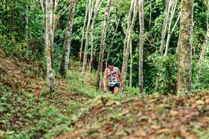 BIB: 
                            <button type="button" onclick="openModal(26446159)" class="btn btn-primary btn-sm float-right btn-popup" data-toggle="modal" data-target=".modal-high-quality">
                        <i class="fas fa-shopping-cart"></i> Add to Cart
                    </button>
                                            <button type="button" onclick="isThisMe(26446159, true)" class="btn btn-success btn-sm float-right btn-popup btn-isme hidden" data-toggle="tooltip" data-placement="bottom" title="นี่คือรูปของคุณใช่ไหม คลิกที่นี่เพื่อเอาเข้าอัลบั้ม">
                        <i class="fas fa-plus"></i> Add to album
                    </button>
                    <button type="button" onclick="isThisMe(26446159, false)" class="btn btn-warning btn-sm float-right btn-popup btn-isnotme hidden">
                        <i class="fas fa-ban"></i> Remove from album
                    </button>