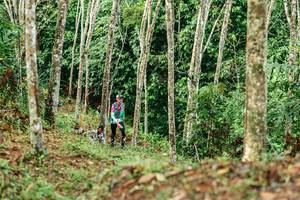 BIB: 
                            <button type="button" onclick="openModal(26446093)" class="btn btn-primary btn-sm float-right btn-popup" data-toggle="modal" data-target=".modal-high-quality">
                        <i class="fas fa-shopping-cart"></i> Add to Cart
                    </button>
                                            <button type="button" onclick="isThisMe(26446093, true)" class="btn btn-success btn-sm float-right btn-popup btn-isme hidden" data-toggle="tooltip" data-placement="bottom" title="นี่คือรูปของคุณใช่ไหม คลิกที่นี่เพื่อเอาเข้าอัลบั้ม">
                        <i class="fas fa-plus"></i> Add to album
                    </button>
                    <button type="button" onclick="isThisMe(26446093, false)" class="btn btn-warning btn-sm float-right btn-popup btn-isnotme hidden">
                        <i class="fas fa-ban"></i> Remove from album
                    </button>