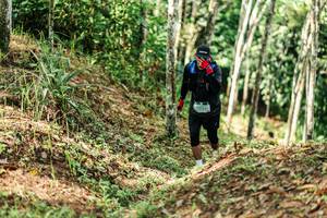 BIB: 
                            <button type="button" onclick="openModal(26448452)" class="btn btn-primary btn-sm float-right btn-popup" data-toggle="modal" data-target=".modal-high-quality">
                        <i class="fas fa-shopping-cart"></i> Add to Cart
                    </button>
                                            <button type="button" onclick="isThisMe(26448452, true)" class="btn btn-success btn-sm float-right btn-popup btn-isme hidden" data-toggle="tooltip" data-placement="bottom" title="นี่คือรูปของคุณใช่ไหม คลิกที่นี่เพื่อเอาเข้าอัลบั้ม">
                        <i class="fas fa-plus"></i> Add to album
                    </button>
                    <button type="button" onclick="isThisMe(26448452, false)" class="btn btn-warning btn-sm float-right btn-popup btn-isnotme hidden">
                        <i class="fas fa-ban"></i> Remove from album
                    </button>