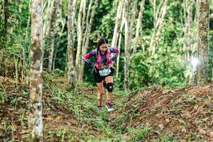 BIB: 
                            <button type="button" onclick="openModal(26446200)" class="btn btn-primary btn-sm float-right btn-popup" data-toggle="modal" data-target=".modal-high-quality">
                        <i class="fas fa-shopping-cart"></i> Add to Cart
                    </button>
                                            <button type="button" onclick="isThisMe(26446200, true)" class="btn btn-success btn-sm float-right btn-popup btn-isme hidden" data-toggle="tooltip" data-placement="bottom" title="นี่คือรูปของคุณใช่ไหม คลิกที่นี่เพื่อเอาเข้าอัลบั้ม">
                        <i class="fas fa-plus"></i> Add to album
                    </button>
                    <button type="button" onclick="isThisMe(26446200, false)" class="btn btn-warning btn-sm float-right btn-popup btn-isnotme hidden">
                        <i class="fas fa-ban"></i> Remove from album
                    </button>