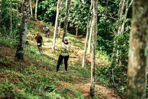 BIB: 
                            <button type="button" onclick="openModal(26448768)" class="btn btn-primary btn-sm float-right btn-popup" data-toggle="modal" data-target=".modal-high-quality">
                        <i class="fas fa-shopping-cart"></i> Add to Cart
                    </button>
                                            <button type="button" onclick="isThisMe(26448768, true)" class="btn btn-success btn-sm float-right btn-popup btn-isme hidden" data-toggle="tooltip" data-placement="bottom" title="นี่คือรูปของคุณใช่ไหม คลิกที่นี่เพื่อเอาเข้าอัลบั้ม">
                        <i class="fas fa-plus"></i> Add to album
                    </button>
                    <button type="button" onclick="isThisMe(26448768, false)" class="btn btn-warning btn-sm float-right btn-popup btn-isnotme hidden">
                        <i class="fas fa-ban"></i> Remove from album
                    </button>