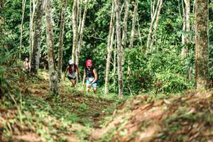 BIB: 
                            <button type="button" onclick="openModal(26448945)" class="btn btn-primary btn-sm float-right btn-popup" data-toggle="modal" data-target=".modal-high-quality">
                        <i class="fas fa-shopping-cart"></i> Add to Cart
                    </button>
                                            <button type="button" onclick="isThisMe(26448945, true)" class="btn btn-success btn-sm float-right btn-popup btn-isme hidden" data-toggle="tooltip" data-placement="bottom" title="นี่คือรูปของคุณใช่ไหม คลิกที่นี่เพื่อเอาเข้าอัลบั้ม">
                        <i class="fas fa-plus"></i> Add to album
                    </button>
                    <button type="button" onclick="isThisMe(26448945, false)" class="btn btn-warning btn-sm float-right btn-popup btn-isnotme hidden">
                        <i class="fas fa-ban"></i> Remove from album
                    </button>